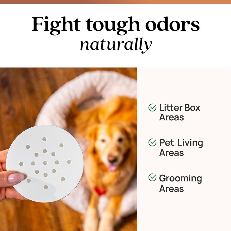 Azuna Pet Odor Eliminator for Strong Odor Gel | Plant Powered Australian Tea Tree Oil | Dog and Cat Room Deodorizer | Pet and Child Friendly | Cedarwood Scent | 8oz Pod - Image 2